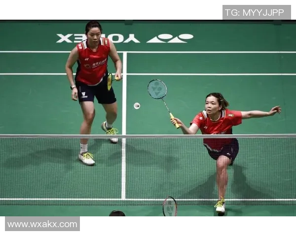 成都羽毛球队的防反战术揭秘与深度分析探索