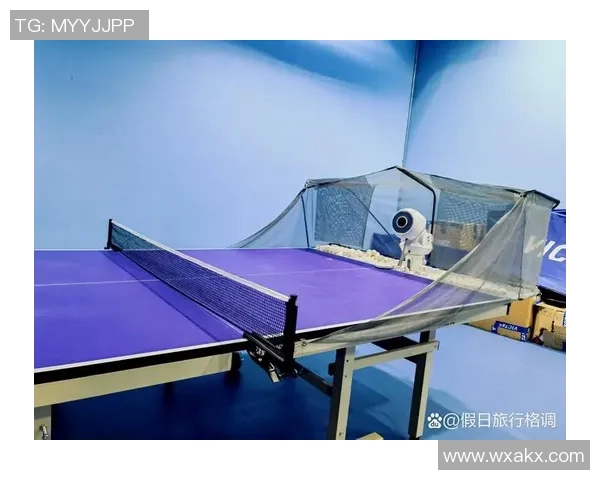 赵军独家分享乒乓球技巧与心得体会助你提升球技的秘密武器